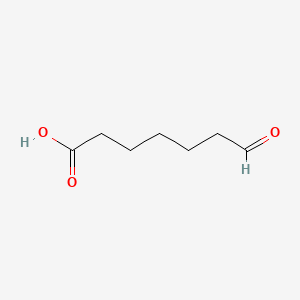 molecular formula C7H12O3 B1201895 7-氧代庚酸 CAS No. 35923-65-0