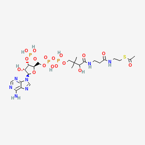 molecular formula C23H38N7O17P3S B1202050 Acetyl CoA 