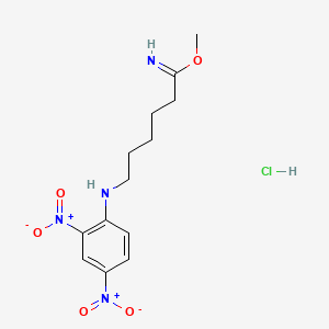 B1202158 Methyl epsilon-(N-2,4-dinitrophenyl)aminocaproimidate CAS No. 62902-17-4