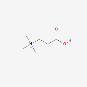 B1202163 Methylbetaine CAS No. 13441-31-1
