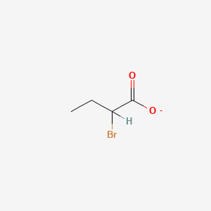 molecular formula C4H6BrO2- B1202233 2-Bromobutyrate CAS No. 20629-61-2