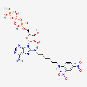 molecular formula C22H32N9O17P3 B1202262 gamma ATP-Dnp CAS No. 84563-30-4