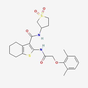 2-{[(2,6-dimethylphenoxy)acetyl]amino}-N-(1,1-dioxidotetrahydrothiophen-3-yl)-4,5,6,7-tetrahydro-1-benzothiophene-3-carboxamide