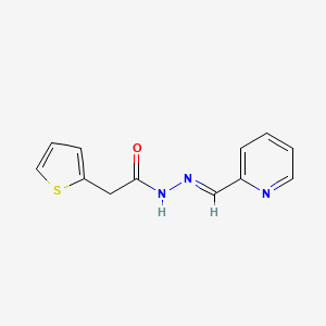 N'-[(E)-2-pyridinylmethylidene]-2-(2-thienyl)acetohydrazide