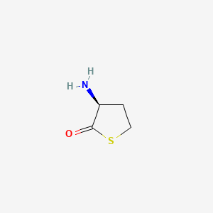 molecular formula C4H7NOS B1202532 Homocysteine thiolactone CAS No. 2338-04-7