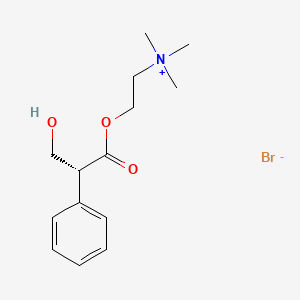 molecular formula C14H22BrNO3 B1202803 (R)-2-(3-Hydroxy-1-oxo-2-phenylpropoxy)-N,N,N-trimethylethanaminium, bromide CAS No. 63912-19-6