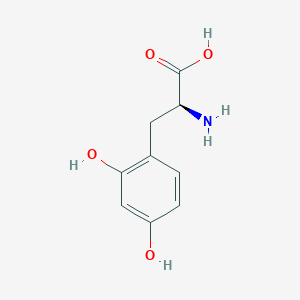 molecular formula C9H11NO4 B1203094 (S)-2-氨基-3-(2,4-二羟苯基)丙酸 CAS No. 24146-06-3