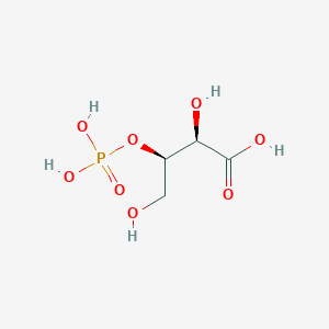 molecular formula C4H9O8P B1203119 3-磷酸-D-赤藓糖酸 