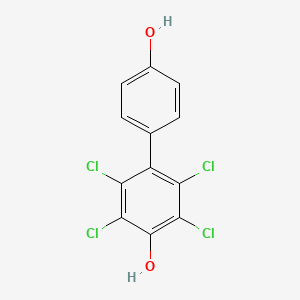 molecular formula C12H6Cl4O2 B1203416 2,3,5,6-四氯-4,4'-联苯二酚 CAS No. 100702-98-5