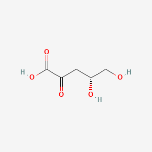 molecular formula C5H8O5 B1203534 2-dehydro-3-deoxy-L-arabinonic acid CAS No. 3495-27-0