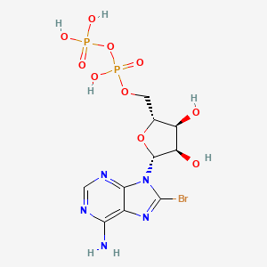 molecular formula C10H14BrN5O10P2 B1203600 8-Bromoadenosine-5'-diphosphate CAS No. 23600-16-0