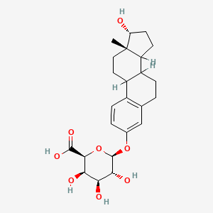 B1203632 17alpha-Estradiol-3-galacturonide CAS No. 63307-54-0