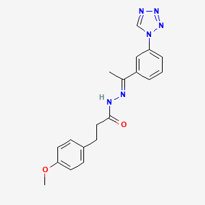 3-(4-methoxyphenyl)-N-[(E)-1-[3-(tetrazol-1-yl)phenyl]ethylideneamino]propanamide