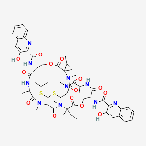 molecular formula C56H68N10O14S2 B1203728 抗生素UK 63052 CAS No. 120763-23-7