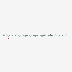molecular formula C22H36O2 B1203896 二十二-7,10,13,16-四烯酸 