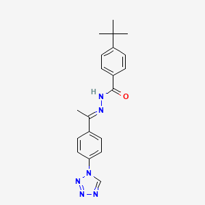 4-Tert-butyl-N'-(1-(4-(1H-tetraazol-1-YL)phenyl)ethylidene)benzohydrazide