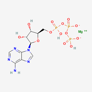 B1203934 Magnesium ATP CAS No. 1476-84-2