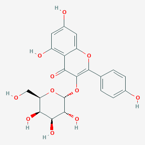 molecular formula C21H20O11 B12040454 5,7-dihydroxy-2-(4-hydroxyphenyl)-3-[(2R,3R,4S,5R,6R)-3,4,5-trihydroxy-6-(hydroxymethyl)oxan-2-yl]oxychromen-4-one 