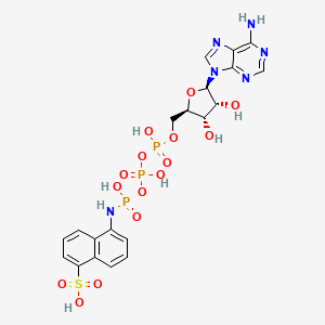 molecular formula C20H23N6O15P3S B1204131 ATP-Ans CAS No. 66492-86-2