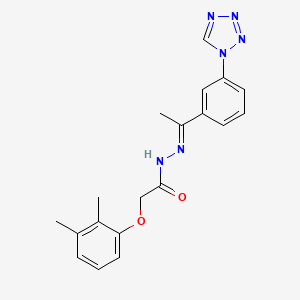 molecular formula C19H20N6O2 B12041636 2-(2,3-Dimethylphenoxy)-N'-(1-(3-(1H-tetraazol-1-YL)PH)ethylidene)acetohydrazide CAS No. 478251-88-6