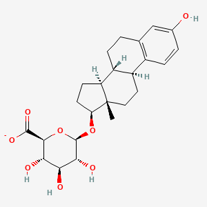 molecular formula C24H31O8- B1204281 17β-雌二醇-17-葡萄糖醛酸酯 