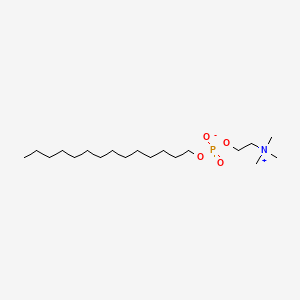 B1204420 Tetradecylphosphocholine CAS No. 77733-28-9