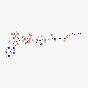 molecular formula C29H46N7O17P3S B1204476 S-[2-[3-[[4-[[[5-(6-aminopurin-9-yl)-4-hydroxy-3-phosphonooxyoxolan-2-yl]methoxy-hydroxyphosphoryl]oxy-hydroxyphosphoryl]oxy-2-hydroxy-3,3-dimethylbutanoyl]amino]propanoylamino]ethyl] oct-2-ynethioate CAS No. 96448-59-8