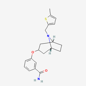 3-[[(1R,5S)-8-[(5-methylthiophen-2-yl)methyl]-8-azabicyclo[3.2.1]octan-3-yl]oxy]benzamide