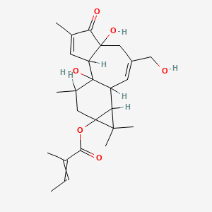 molecular formula C25H34O6 B1204734 [1,6-Dihydroxy-8-(hydroxymethyl)-4,12,12,15-tetramethyl-5-oxo-13-tetracyclo[8.5.0.02,6.011,13]pentadeca-3,8-dienyl] 2-methylbut-2-enoate 