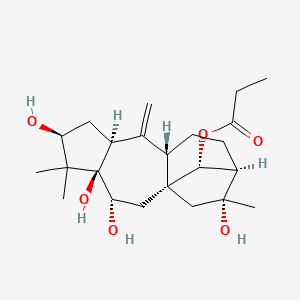 molecular formula C23H36O6 B1205006 [(1S,3R,4R,6S,8S,10S,13R,14R,16R)-3,4,6,14-tetrahydroxy-5,5,14-trimethyl-9-methylidene-16-tetracyclo[11.2.1.01,10.04,8]hexadecanyl] propanoate 