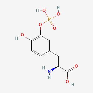 molecular formula C9H12NO7P B1205146 Dopa 3-phosphate CAS No. 97321-86-3