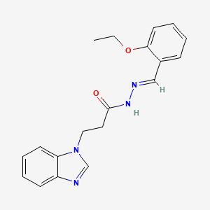 3-(1H-Benzimidazol-1-YL)-N'-(2-ethoxybenzylidene)propanohydrazide