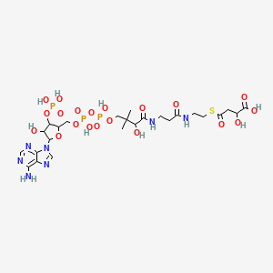 molecular formula C25H40N7O20P3S B1205334 Malyl-coenzyme A CAS No. 2043-93-8