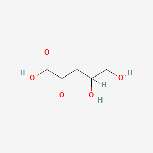 molecular formula C5H8O5 B1205385 4,5-Dihydroxy-2-oxopentanoic acid CAS No. 7636-04-6