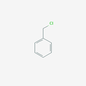molecular formula C7H7Cl<br>C6H5CH2Cl<br>C7H7Cl B120561 氯苄 CAS No. 100-44-7