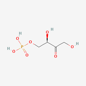 molecular formula C4H9O7P B1205688 D-赤藓糖-4-磷酸 CAS No. 92175-70-7