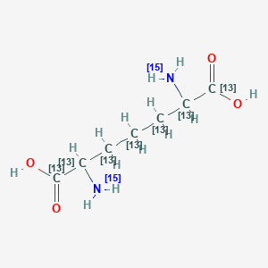 molecular formula C7H14N2O4 B12057101 2,6-bis(15N)(azanyl)(1,2,3,4,5,6,7-13C7)heptanedioic acid 