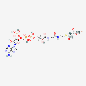 Acetyl-1,2 Coenzyme A-13c2 (Lithium)