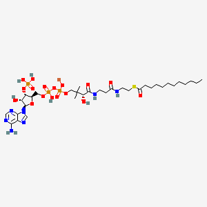 Dodecanoyl-Coenzyme A lithium salt