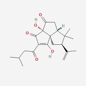molecular formula C21H28O5 B1205919 三环脱氢异葎草酮 CAS No. 56143-68-1