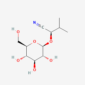 molecular formula C11H19NO6 B1205936 表异异松香脂素 CAS No. 57103-47-6