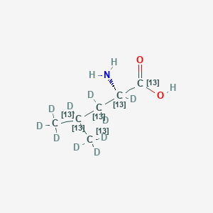 molecular formula C6H13NO2 B12059380 (2S)-2-amino-2,3,3,4,5,5,5-heptadeuterio-4-(trideuterio(113C)methyl)(1,2,3,4,5-13C5)pentanoic acid 