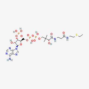 molecular formula C23H40N7O16P3S B1205947 Ethyl-coenzyme A CAS No. 70019-68-0