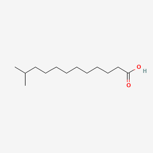 molecular formula C13H26O2 B1205961 异十三酸 CAS No. 25448-24-2