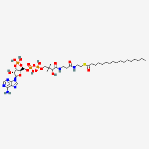 S-[2-[3-[[4-[[[(2R,3S,4R,5R)-5-(6-aminopurin-9-yl)-4-hydroxy-3-phosphonooxyoxolan-2-yl]methoxy-hydroxyphosphoryl]oxy-hydroxyphosphoryl]oxy-2-hydroxy-3,3-dimethylbutanoyl]amino]propanoylamino]ethyl] heptadecanethioate