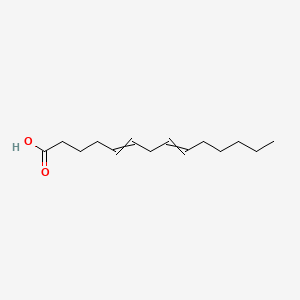 molecular formula C14H24O2 B1205999 Tetradeca-5,8-dienoic acid 