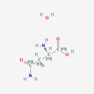 L-Asparagine-13C4 monohydrate