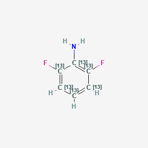 molecular formula C6H5F2N B12061460 2,6-difluoro(1,2,3,4,5,6-13C6)cyclohexa-1,3,5-trien-1-amine CAS No. 1173018-45-5