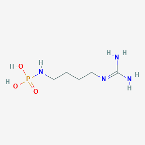 N(4)-phosphoagmatine