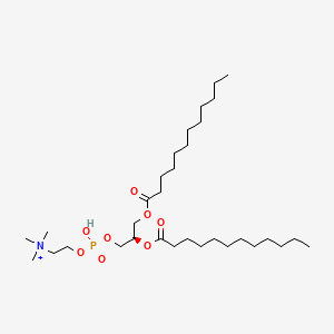 molecular formula C32H65NO8P+ B1206224 二十一烷基磷脂酰胆碱 